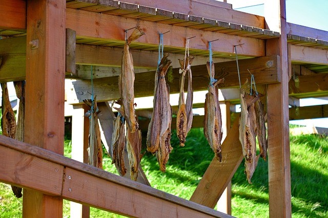 Fish drying outside