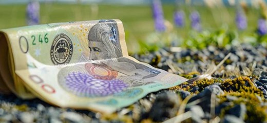 ¡Sorprendente cambio de corona a euro en Islandia! Descubre las implicaciones económicas