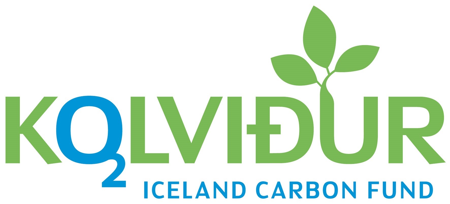 Icelandic carbon fund