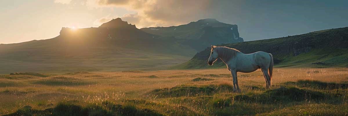 Descubre la mejor época para viajar a Islandia y disfruta de paisajes únicos